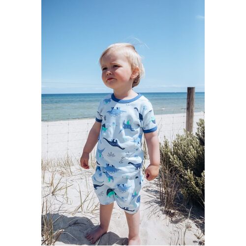 Boys Sizes 3-7 Dinosaur Print Cotton Short Sleeve PJS Pyjamas Marquise