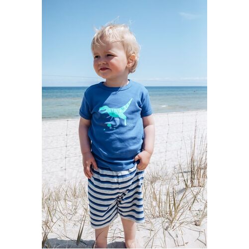 Boys Sizes 3-7 Blue Dinosaur Cotton Short Sleeve PJS Pyjamas Marquise