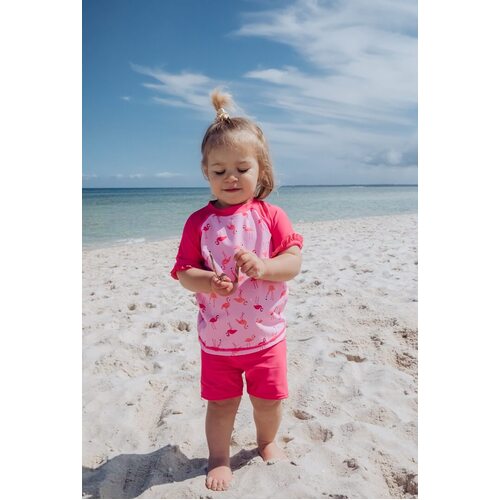 Girls Size 1-3 Bathers Rash Set Pink Flamingo