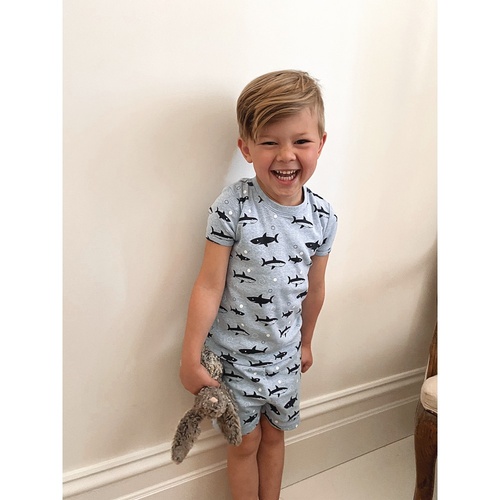 Boys Sizes 5-8 Blue Sharks Cotton Short Sleeve PJS Pyjamas HL