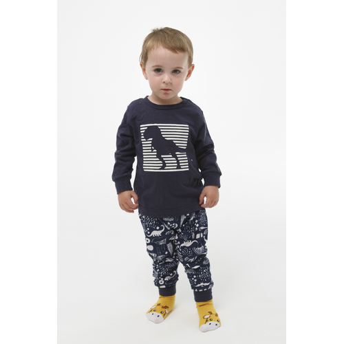 Boys Sizes 0-2 Blue Dinosaur Long Set PJS Pyjamas