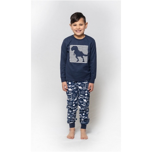 Boys Sizes 3-7 Blue Dinosaur Long Set PJS Pyjamas 