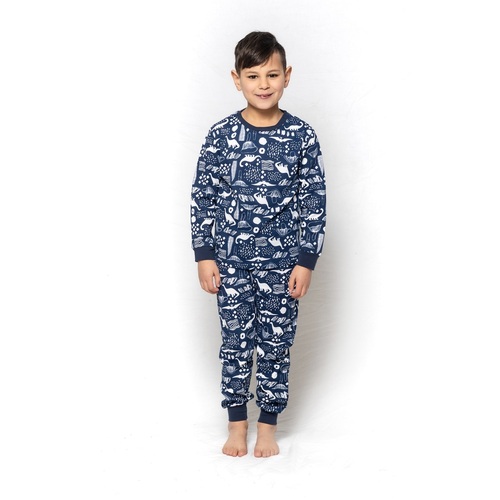 Boys Sizes 3-7 Blue Dinosaur Print Long Set PJS Pyjamas 