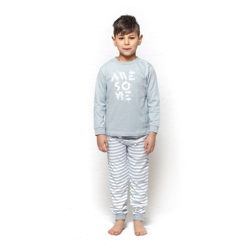 Boys Sizes 3-7 Dusty Blue Awesome Long Set PJS Pyjamas 