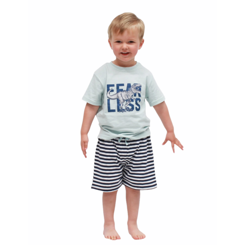 Boys PJS Sizes 3-7 Green Dino Fearless Short Sleeve Pyjamas